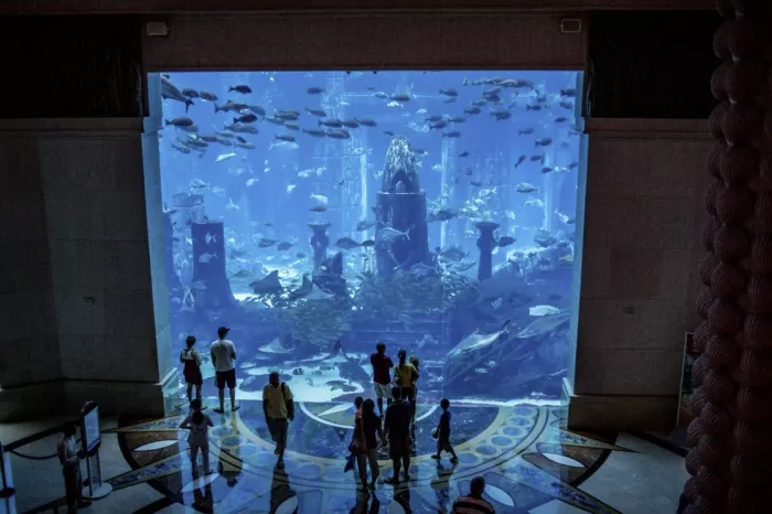 Музей подводного мира "The Lost Chambers"