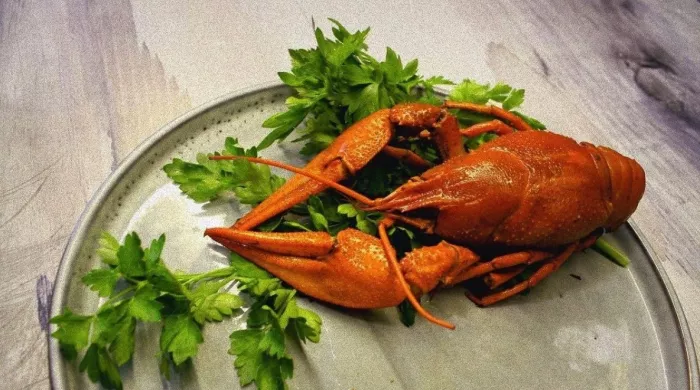 ​Раковая "BaRak" на Командорской