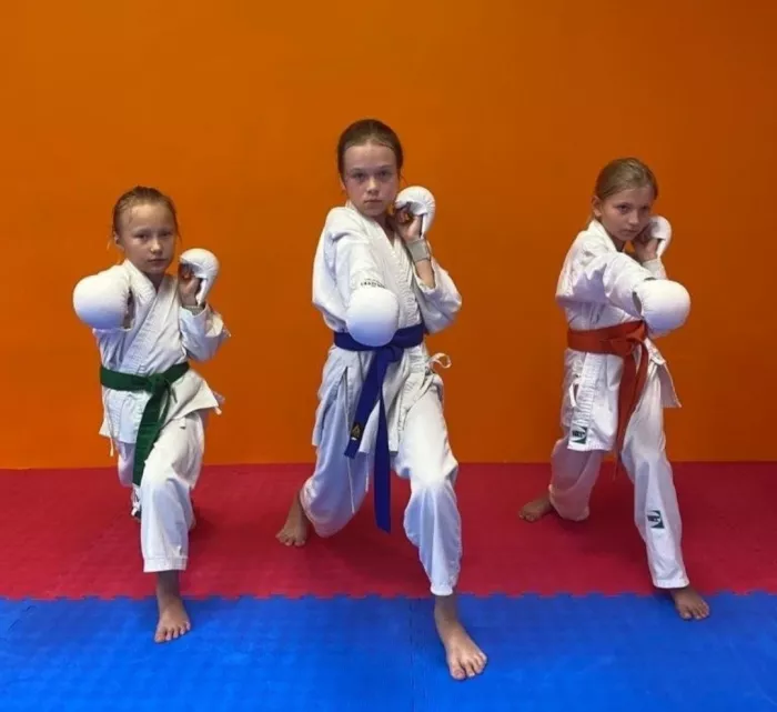 Спортивный клуб каратэ "К2"