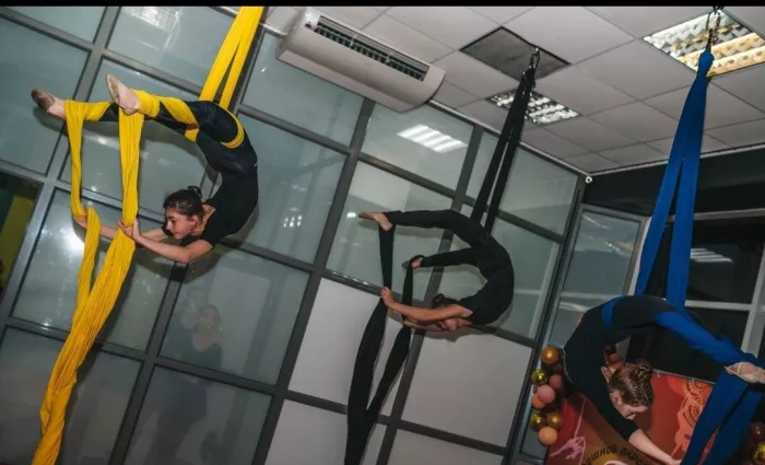 Студия воздушной гимнастики и растяжки "FlyDream"