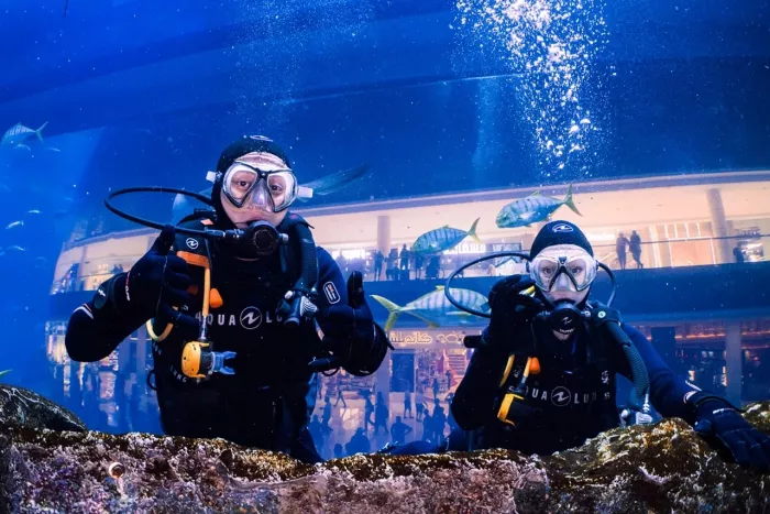 Дайвинг "Al Boom Diving"