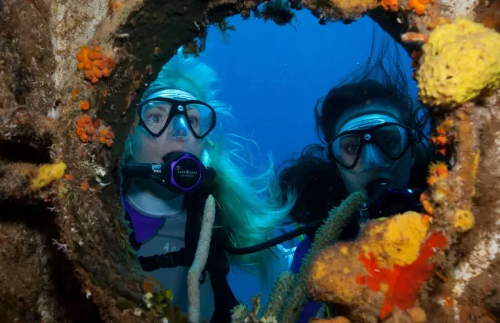 Дайвинг "Al Boom Diving"