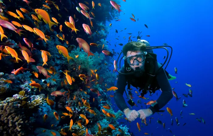 Дайвинг "Atlantis Dive Centre"