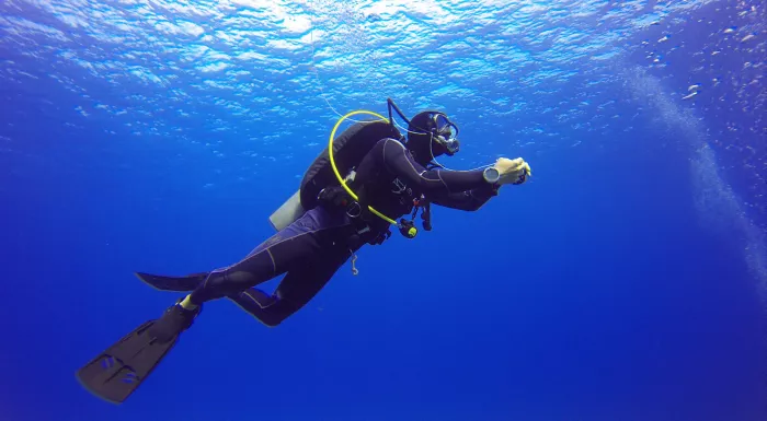Дайвинг "Paradise Blue Diving Center"