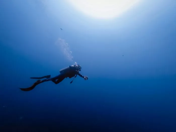 Дайвинг "Paradise Blue Diving Center"