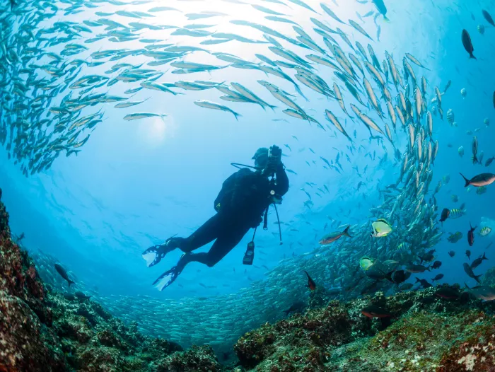 Дайвинг "Paradise Blue Diving Center"