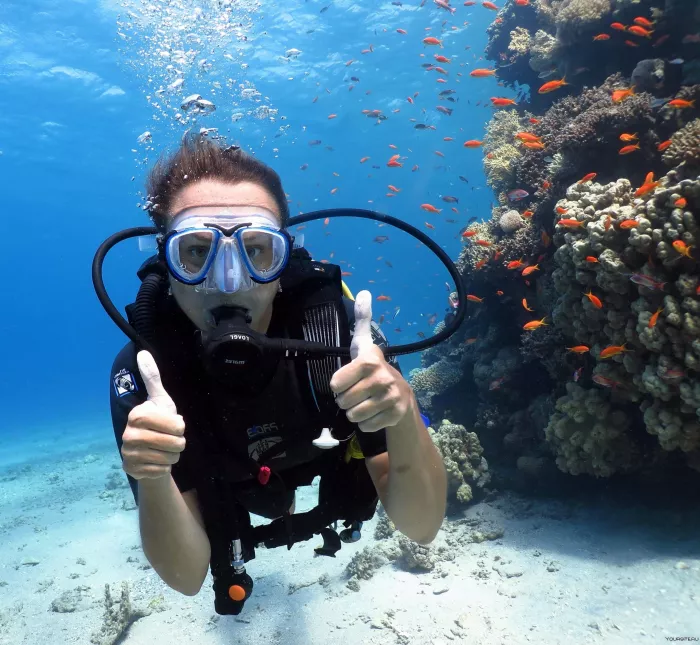 Дайвинг "Paradise Blue Diving Center"
