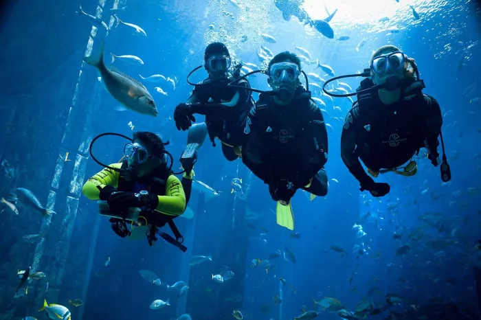 Дайвинг "Paradise Blue Diving Center"
