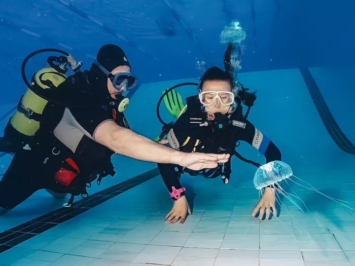 Дайвинг Scuba Hub, diving club"