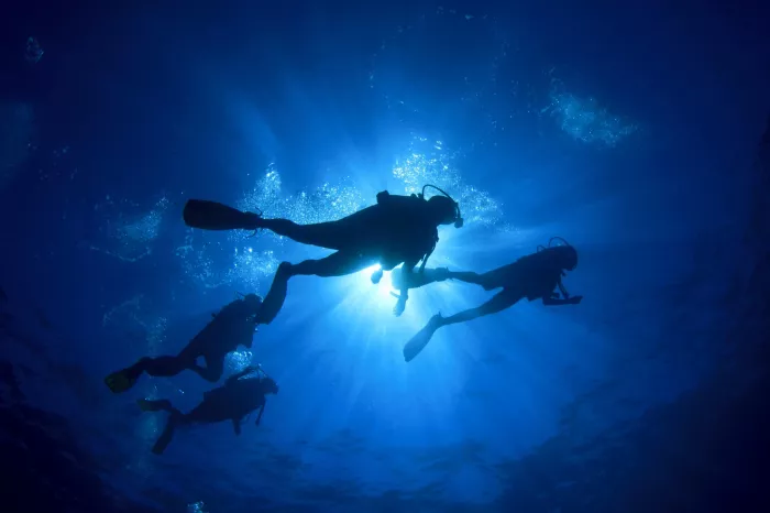 Дайвинг Scuba Hub, diving club"