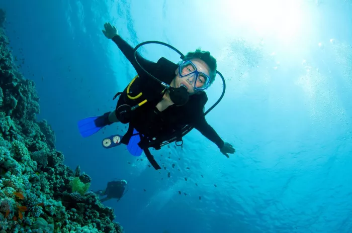 Дайвинг Scuba Hub, diving club"