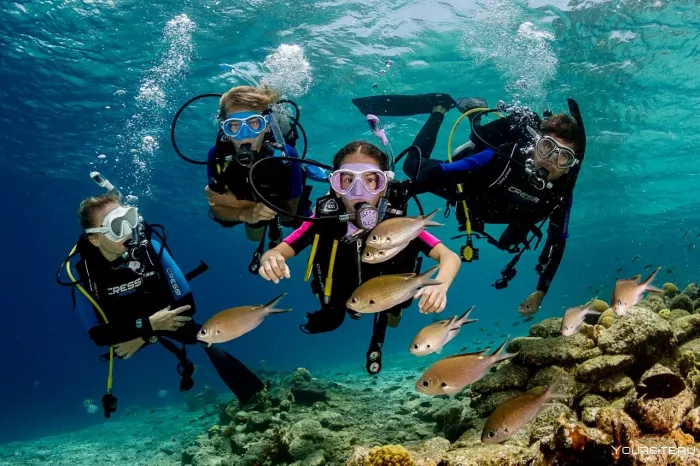 Дайвинг "Divers Down"