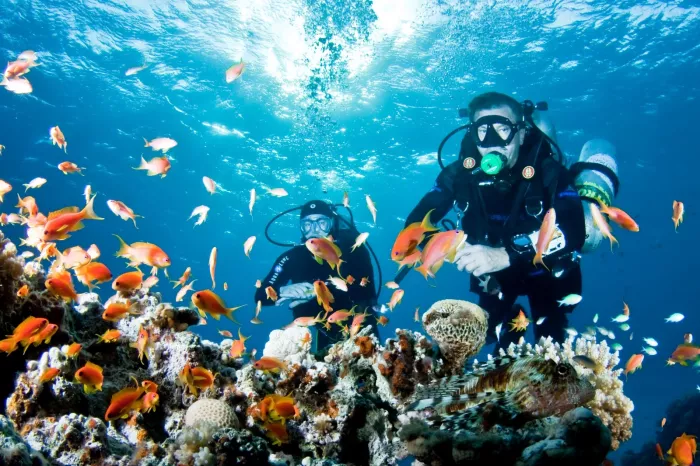 Дайвинг "Mermaid Diving Center"