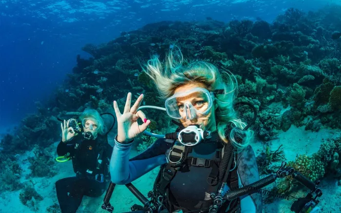 Дайвинг "Mermaid Diving Center"