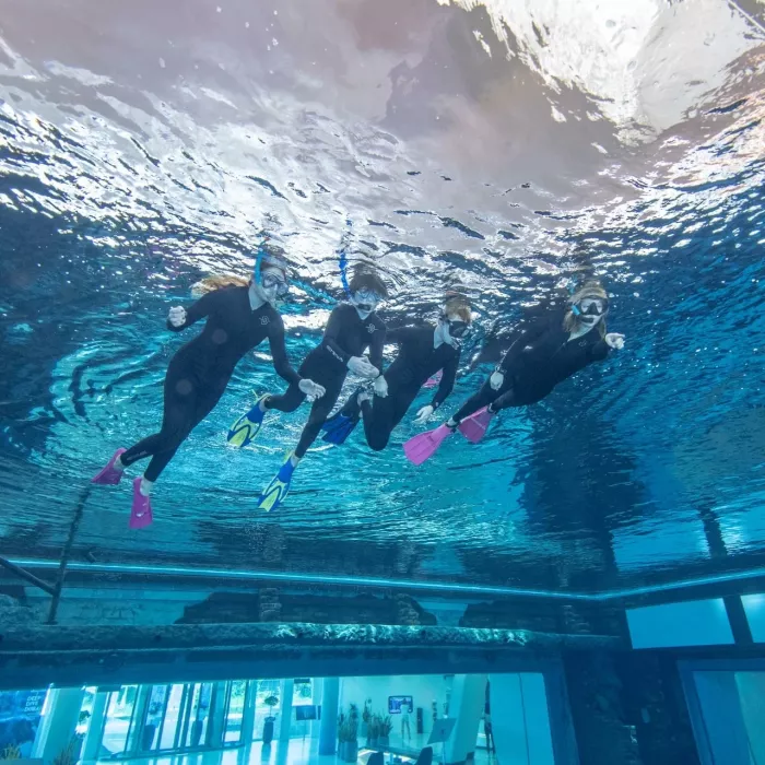 Дайвинг "Deep Dive Dubai"