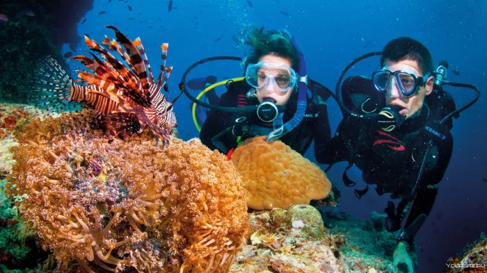 Дайвинг "Deep Dive Dubai"