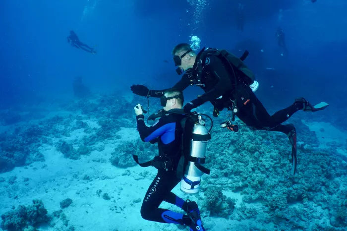 Дайвинг "Drar, diving center"