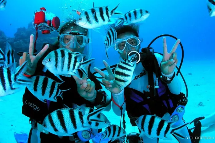 Дайвинг "Drar, diving center"