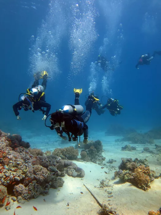 Дайвинг "Interdive Diving Service"