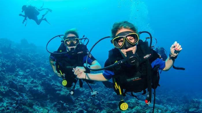 Дайвинг "Interdive Diving Service"