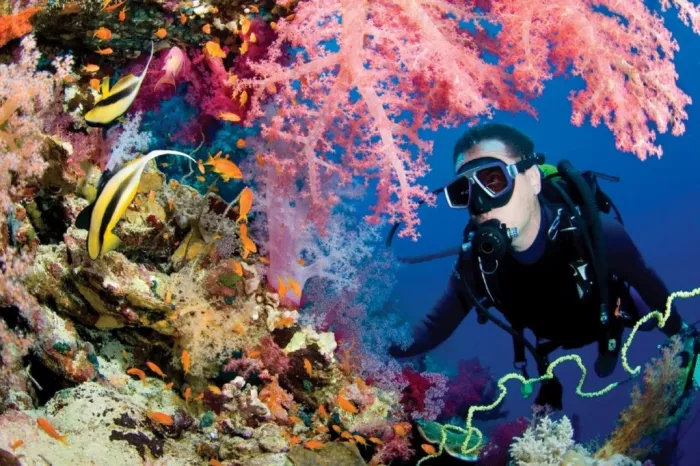 Дайвинг "Dive Zone"
