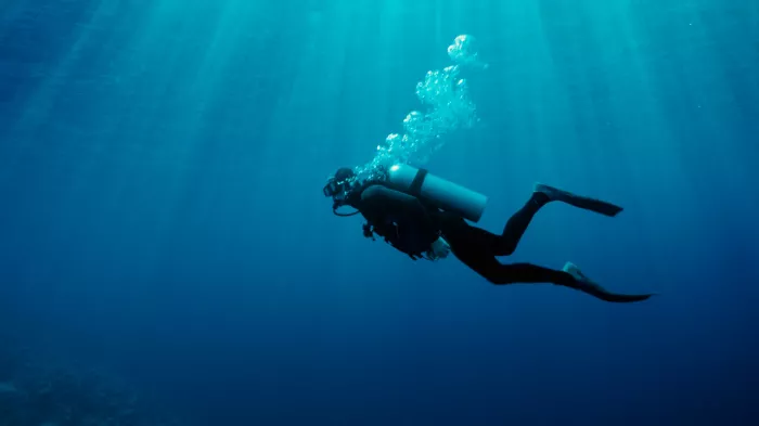 Дайвинг "Dive Zone"