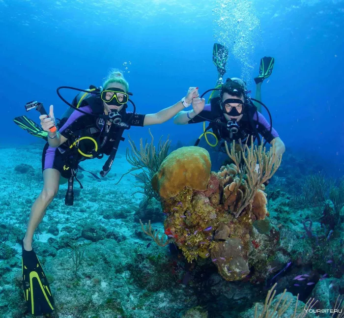 Дайвинг "Seven Seas Diving Services"