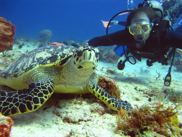 Дайвинг "Seven Seas Diving Services"