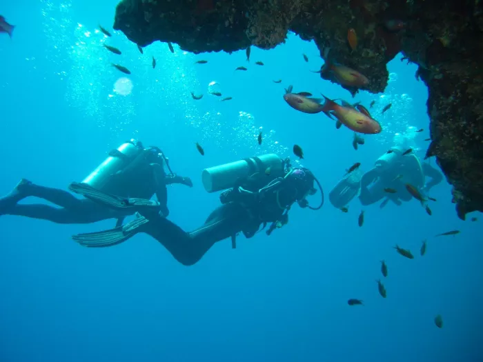Дайвинг "Seven Seas Diving Services"