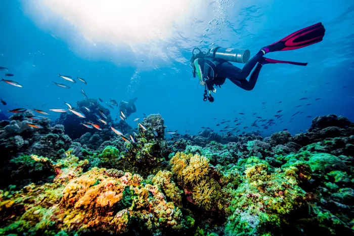 Дайвинг "Seven Seas Diving Services"