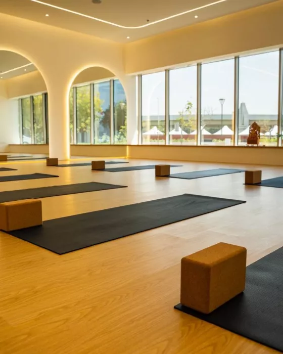 Йога «Zoga Yoga Cafe»