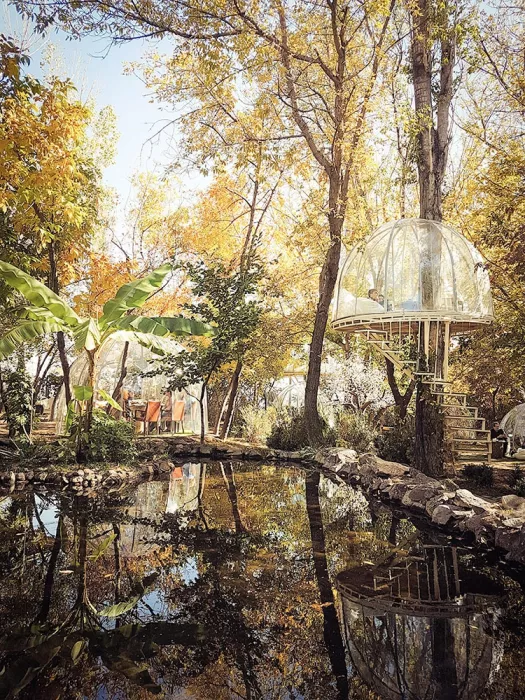 Ресторан "El Garden"