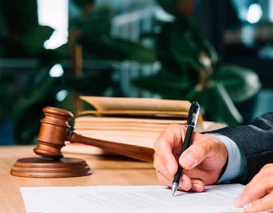 Юридическая компания "Marina Fox Legal Consultancy"