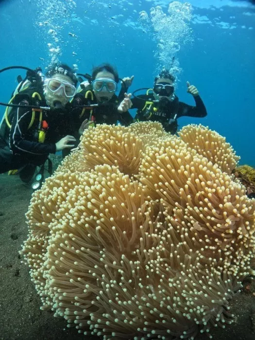 Центр Дайвинга «Tulamben Scuba»