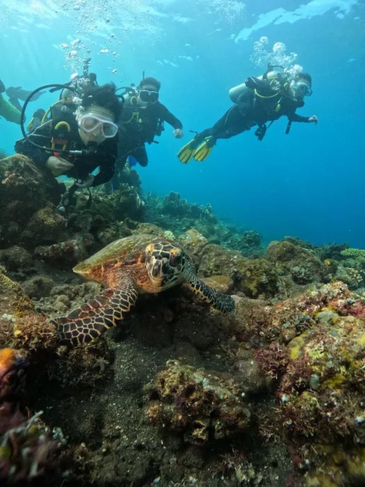 Центр Дайвинга «Tulamben Scuba»