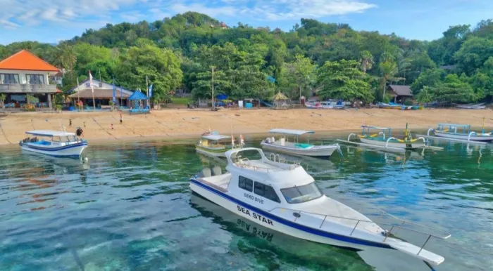 Центр Дайвинга «Geko Dive Bali»