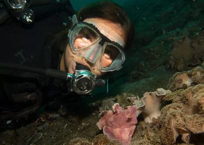 Центр Дайвинга «Geko Dive Bali»