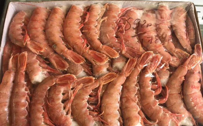 Магазин морепродуктов "Морской берег"