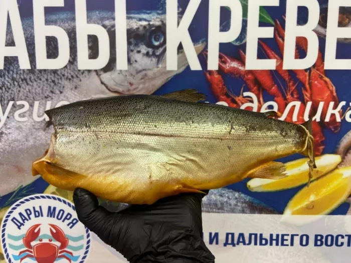 ​Магазин морепродуктов "Дары моря"