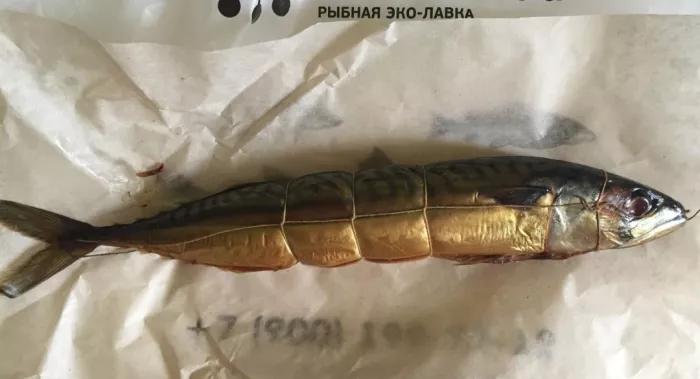 Рыбная эколавка "РЫБСЕТЬ"