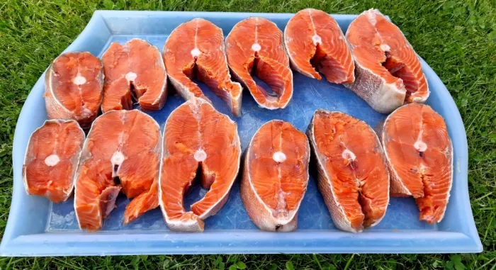 Магазин морепродуктов "Моллюска"
