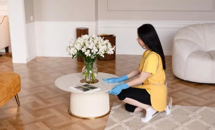 Клининговая компания "Cleaning Bees"