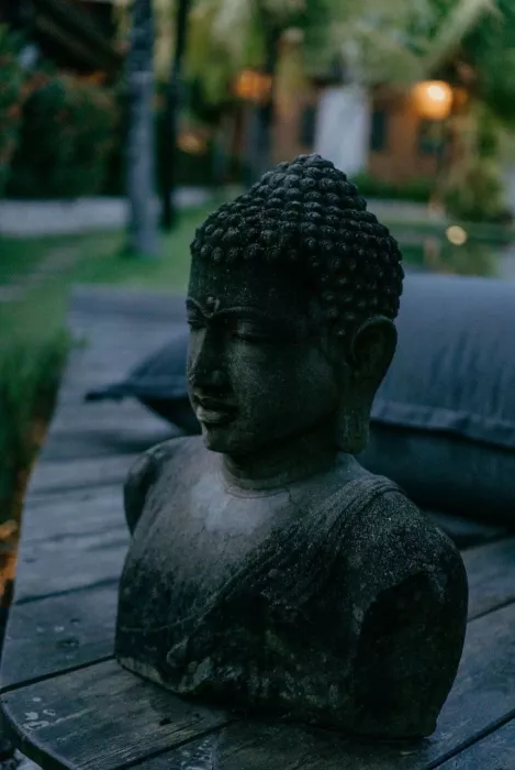 Студия Йоги «Yoga Searcher»