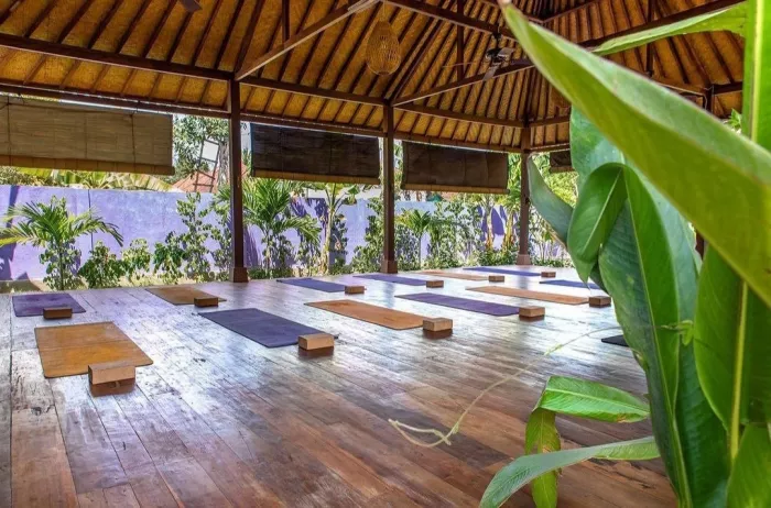 Студия Йоги «Yoga Bliss»
