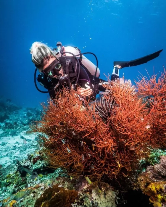 Центр Дайвинга «Dive Concepts Pemuteran»