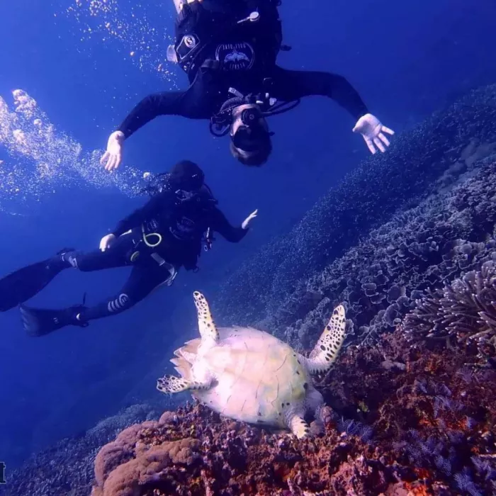 Центр Дайвинга «Planet Bali Dive»