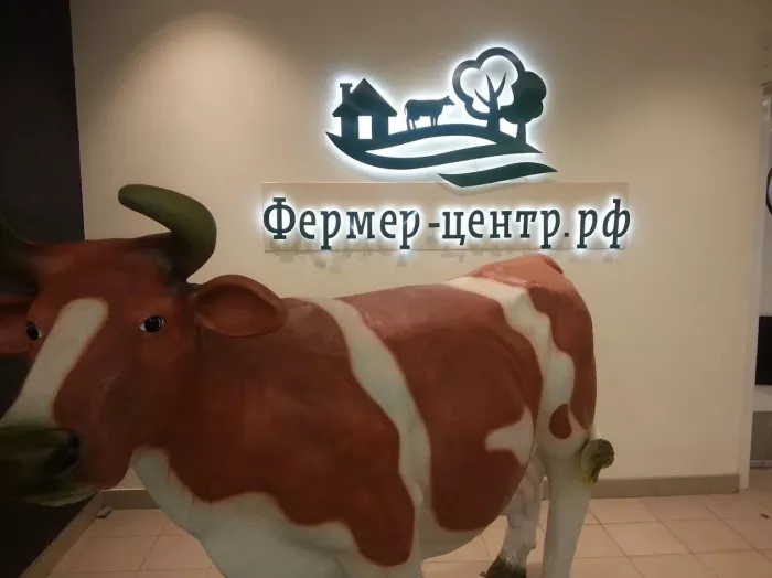 Рекламное агентство "Аврора"