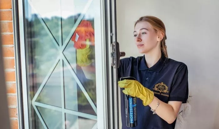 Профессиональная уборка "Premium Cleaning"