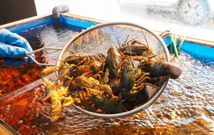 Магазин морепродуктов "Море рыбы"