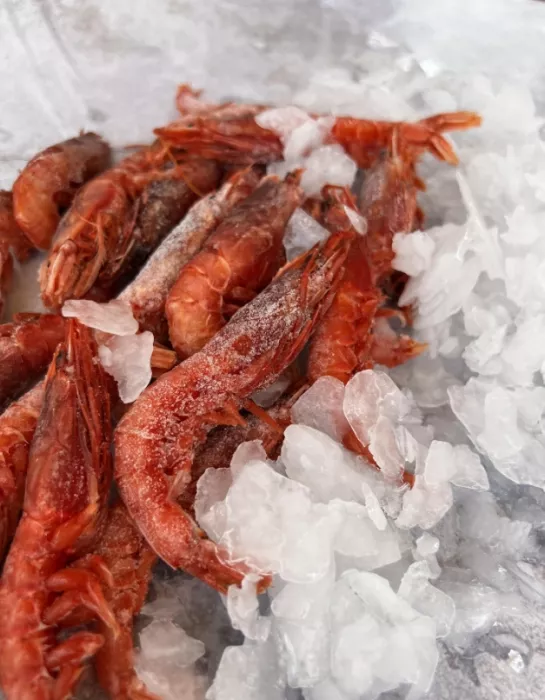Магазин морепродуктов "Море рыбы"